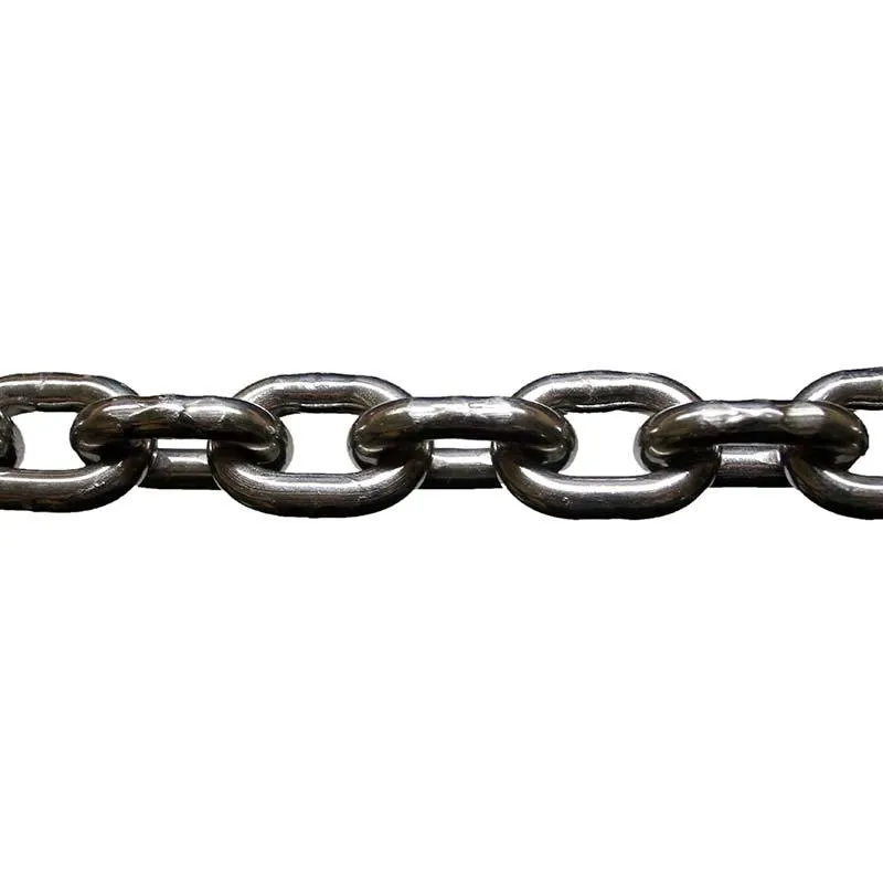 Stainless Steel Chain