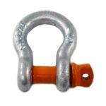 Screw Pin Anchor Shackle -Import